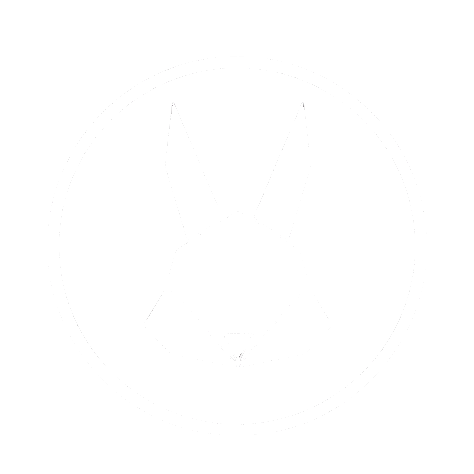 Hip Rabbit